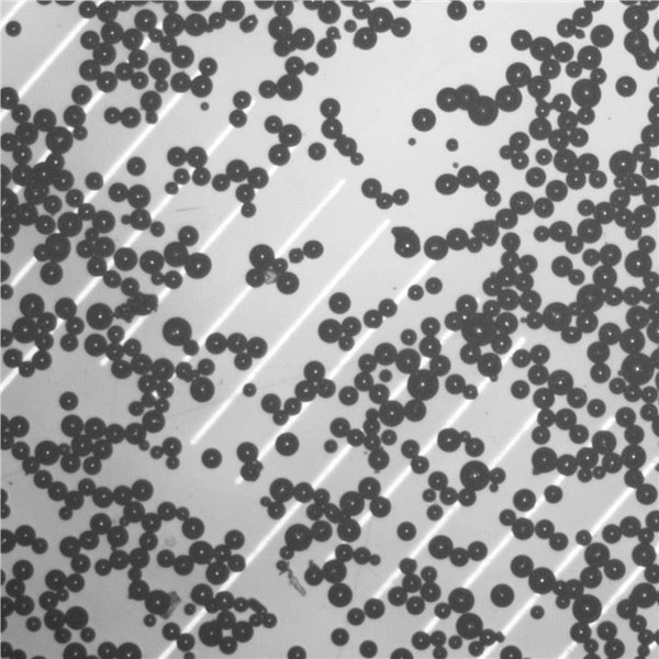 poroshok-iz-splava-nikelya-iinconel625-dlya-3d-pechati-10-kg